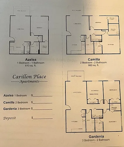 1101 Carillon Pl Photo 1
