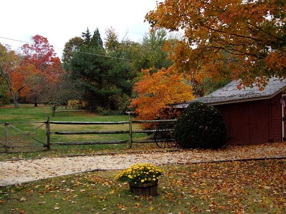 Backyard fenced and Invisible Dog Fence