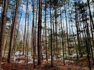 On Mishonagon Way, Lac Du Flambeau, WI 54538