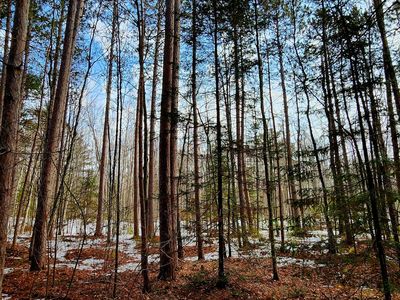 On Mishonagon Way, Lac Du Flambeau, WI, 54538
