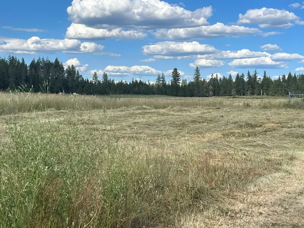 4667 Swenson Rd, Clayton, WA 99110