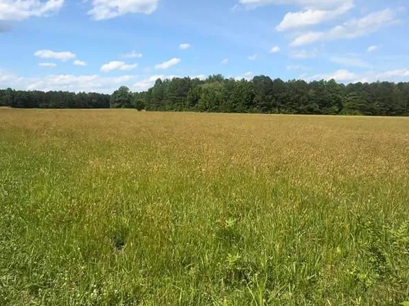 2232 County Road 106, Mentone, AL 35984