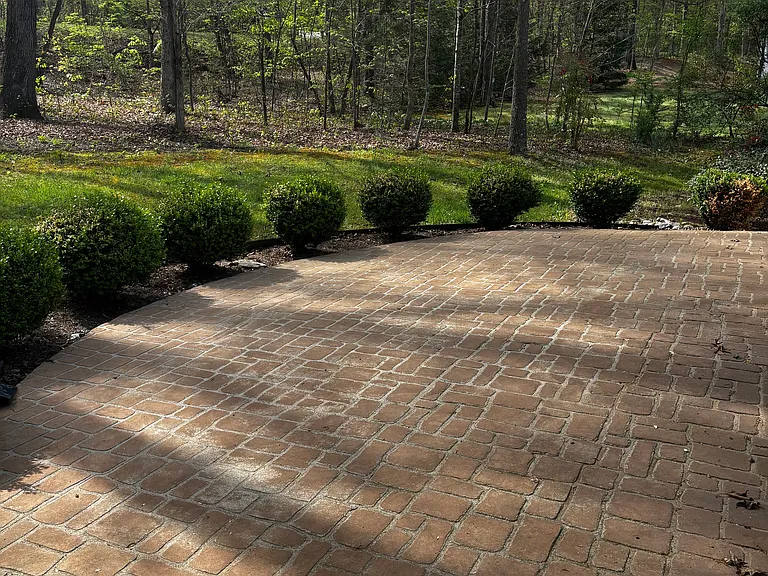 Quiet back patio