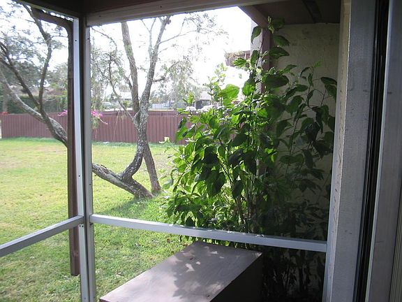 Screened in Porch