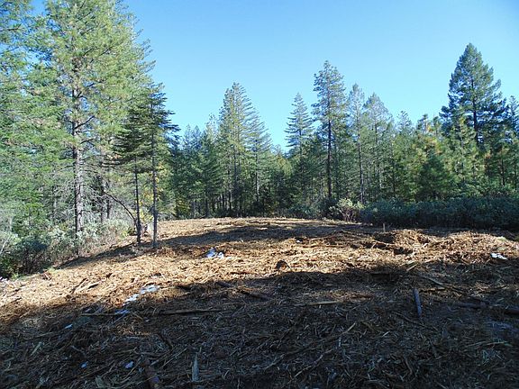 4th image of Acres 40 Ringtail Rd