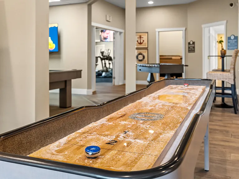 Community Shuffleboard