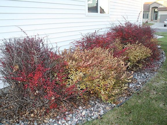 Beautiful Landscaping