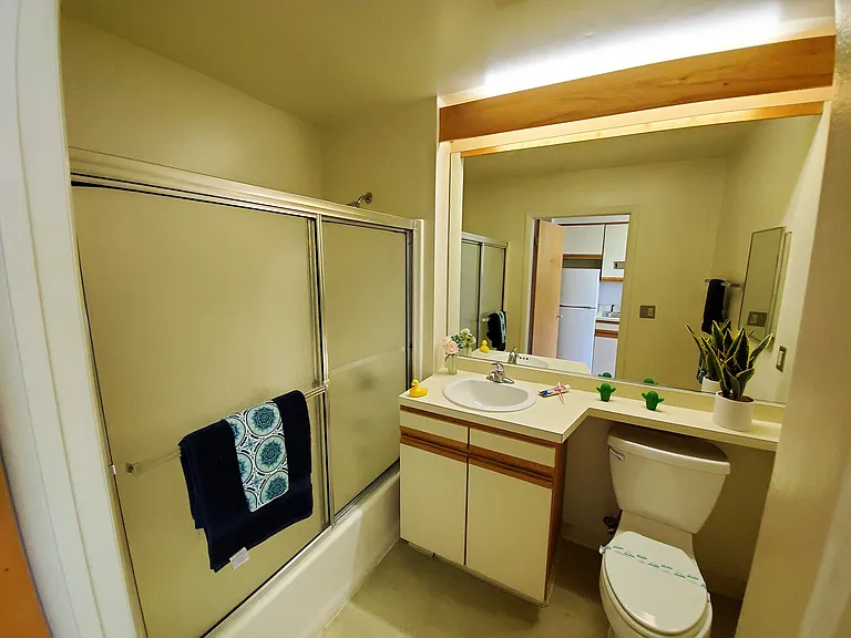 Collegetown Court, 208 Dryden Road — Photo 50