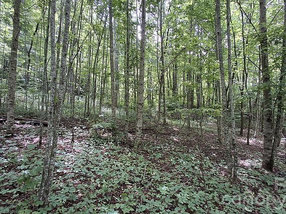 5th image of 0 Dry Creek Rd