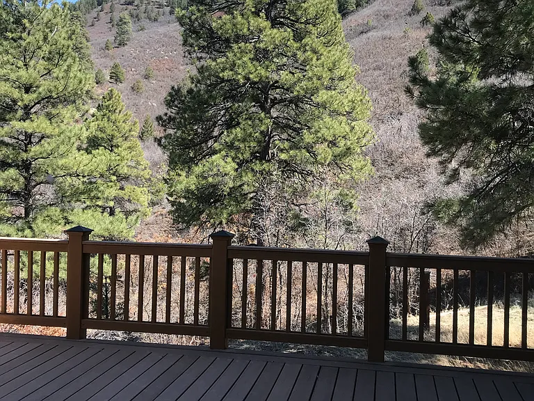 301 Timberline Dr — Photo 3