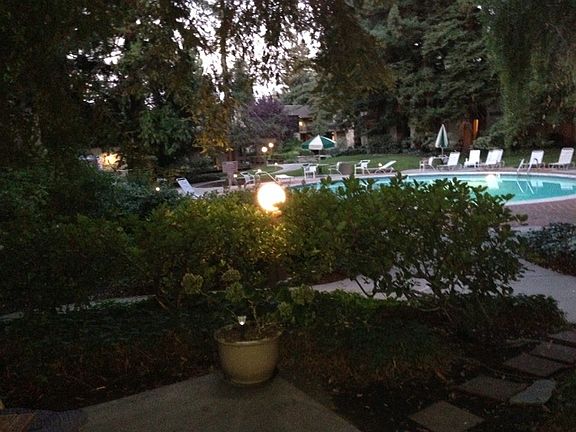 View from Patio to Pool