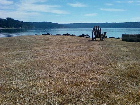 BEACHCOMBING & SHELLFISH