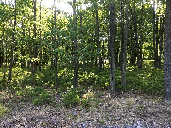 4th image of LOT NULL 107 Sweet Birch Dr