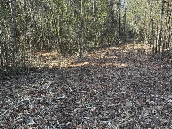 NULLB Burger Rd, Petal, MS 39465
