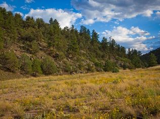 8532 County Road 28, Cotopaxi, CO 81223