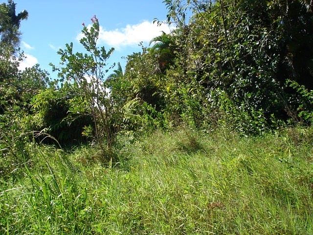 2nd image of Kolika Rd Lot 318