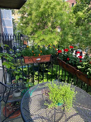 Rented by Douglas Elliman | media 26