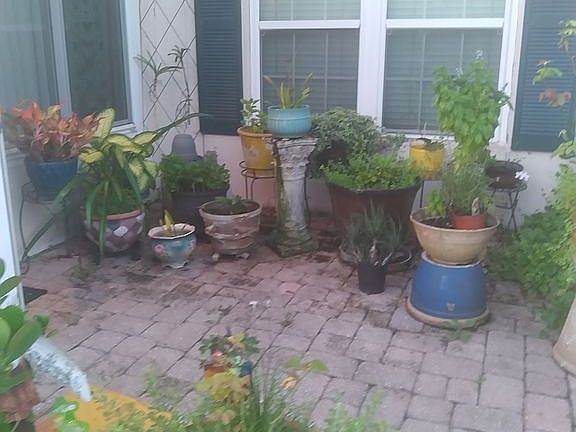 5th image of 10360 Carrollwood Ln APT 211