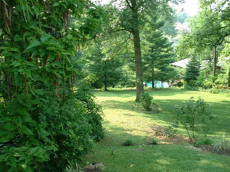 Meis Ave — Photo 3