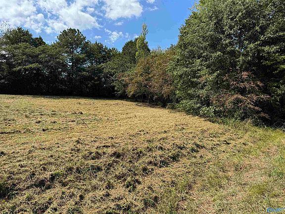 5th image of 120 County Road 726