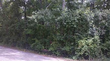 2nd image of 200 2nd St