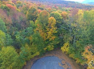 384 Bailey Rd, Jewett, NY 12444