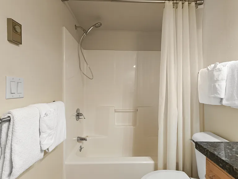 Bathroom | Shower and Tub Combo