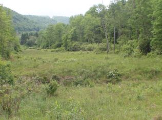 County Highway 67, Hancock, NY 13783