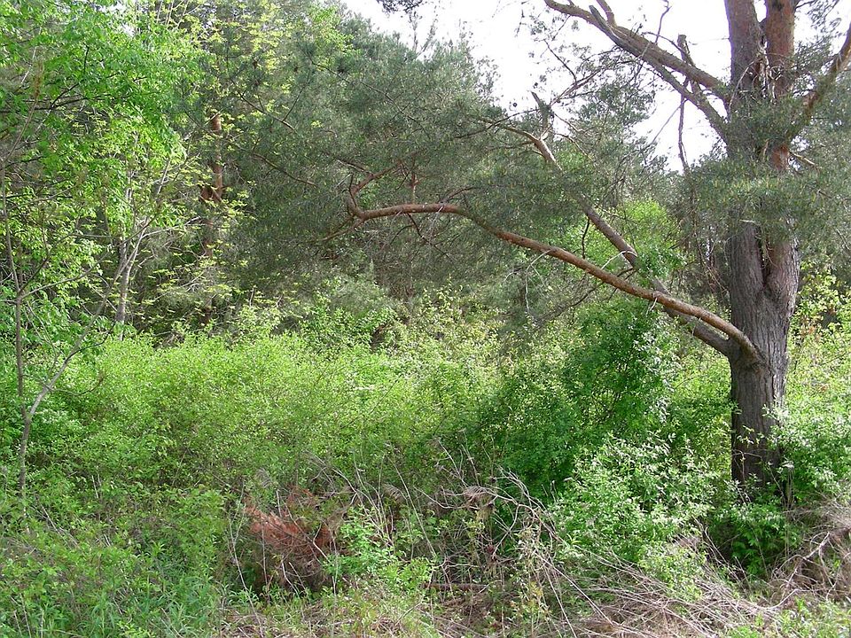 Maplecrest Way, Otego, NY 13825 Zillow