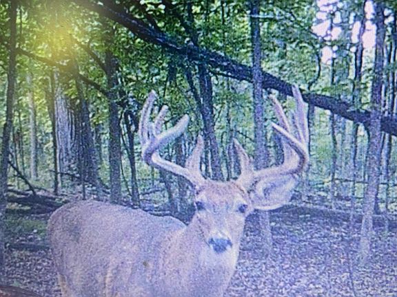2nd image of 12390 Holibaugh Rd