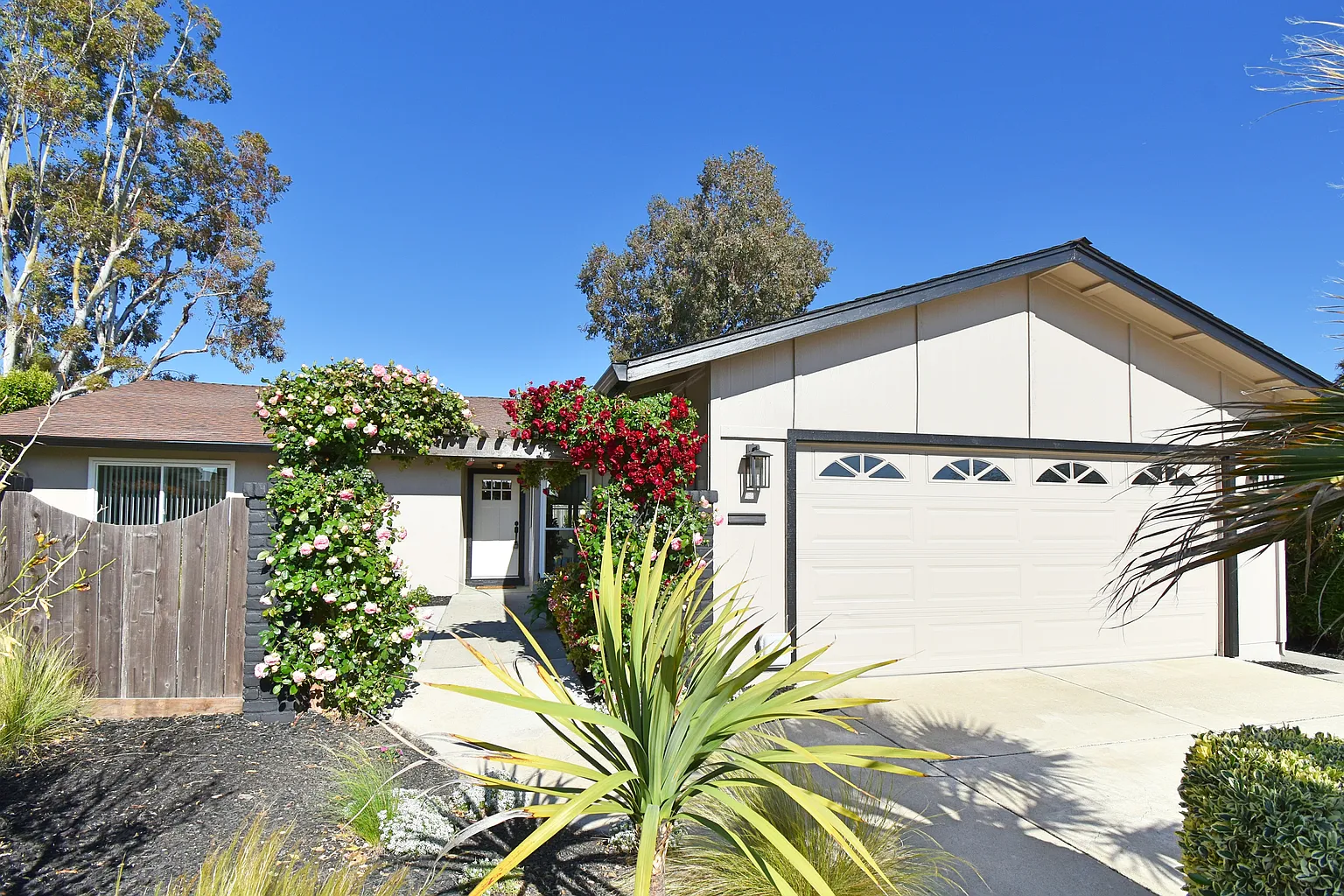 1531 Bluebell Ct photo 1