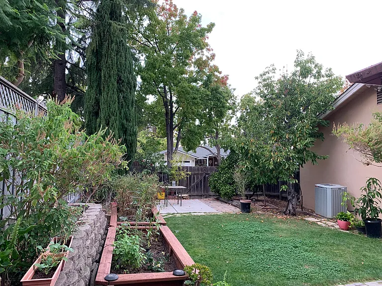 Backyard and vegetable garden