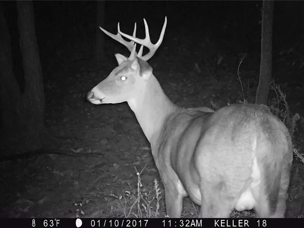 0 Pleasant Ridge Rd, Rockwood, IL 62280