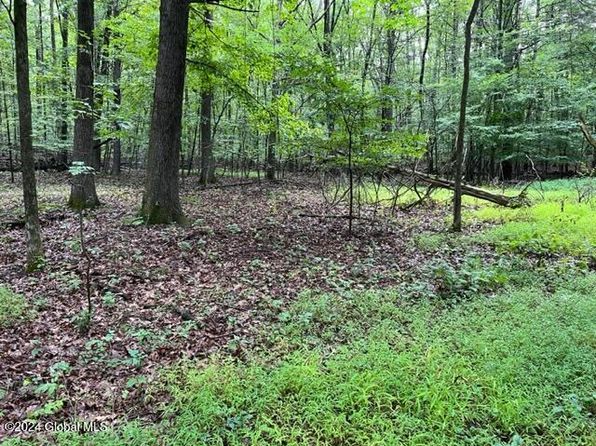 L2.2 Canniff Road, Freehold, NY 12413