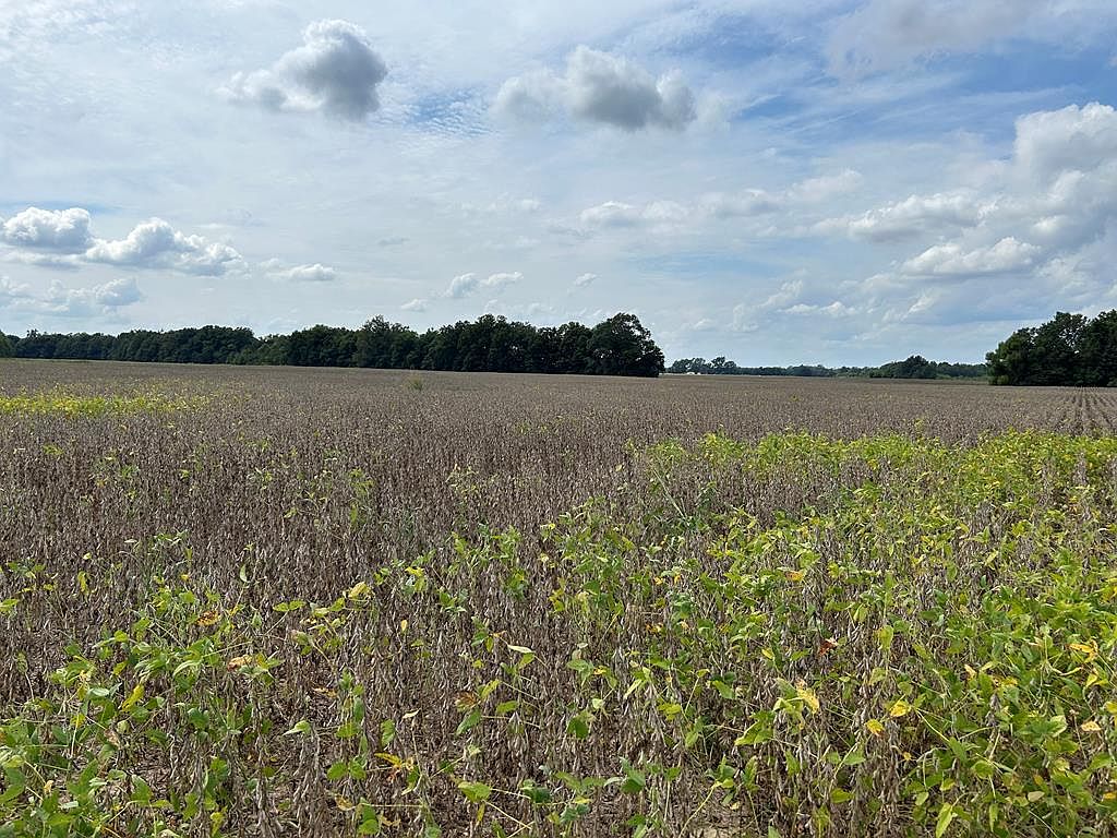 0 Cotton Loop, Sledge, MS 38670 MLS 157487 Zillow
