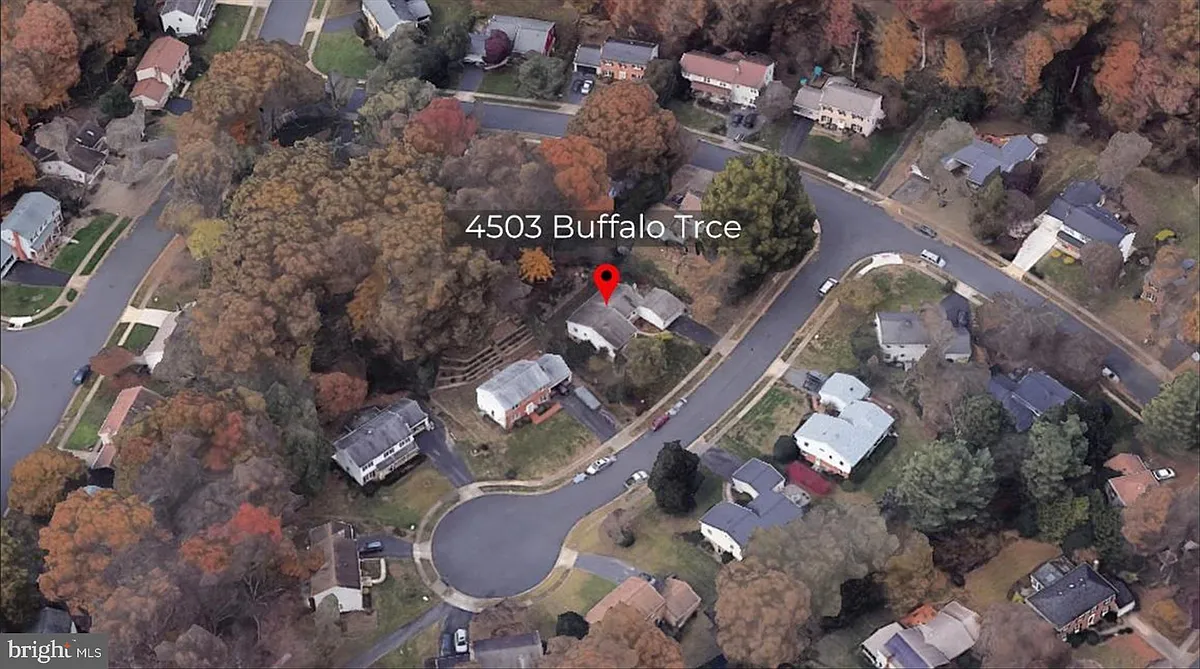 Building Photo - 4503 Buffalo Trce