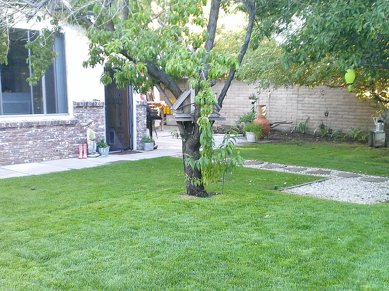 2231 Riviera St — Photo 32