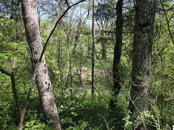 4th image of 0 Sandy Point Ln Lot 66-67