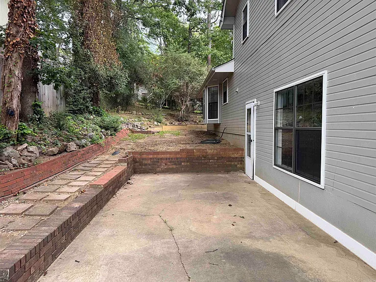 2 Red Birch Cv — Photo 16