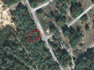 20 Sequoia Loop Dr, Ocklawaha, FL 32179