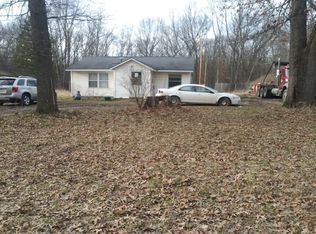 9900 Fish Rd, Belding, MI 48809