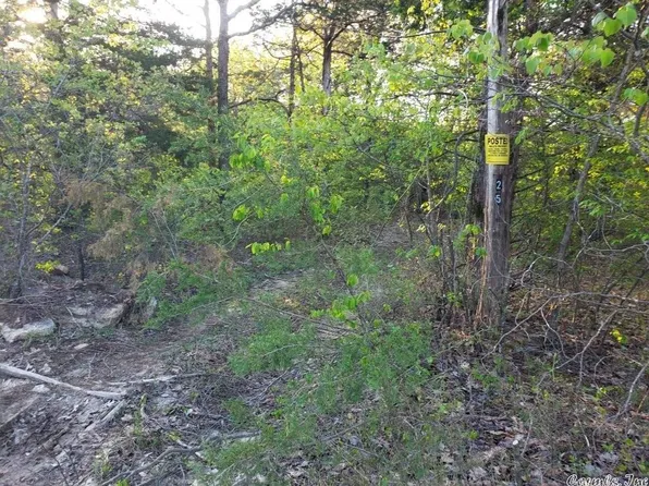 Lots 12/13 Cres #36, Cotter, AR 72626