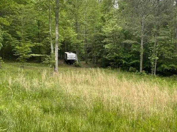 483 Horns Creek Rd, Old Fort, TN 37362