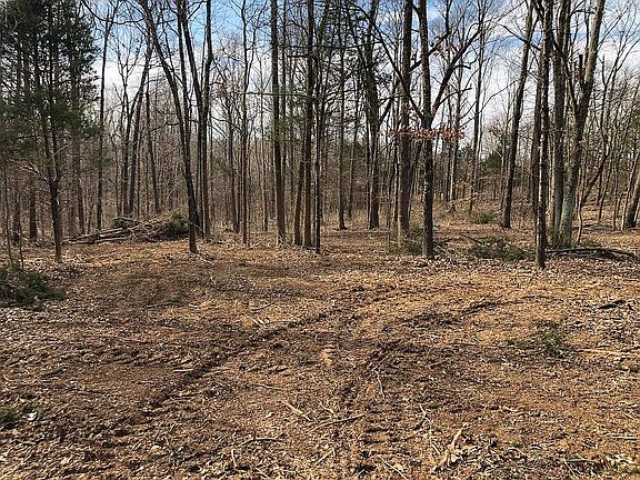 2nd image of Kirk Ln
