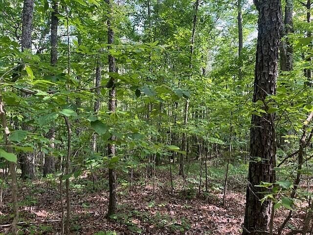 2nd image of Underwood Ferry Rd