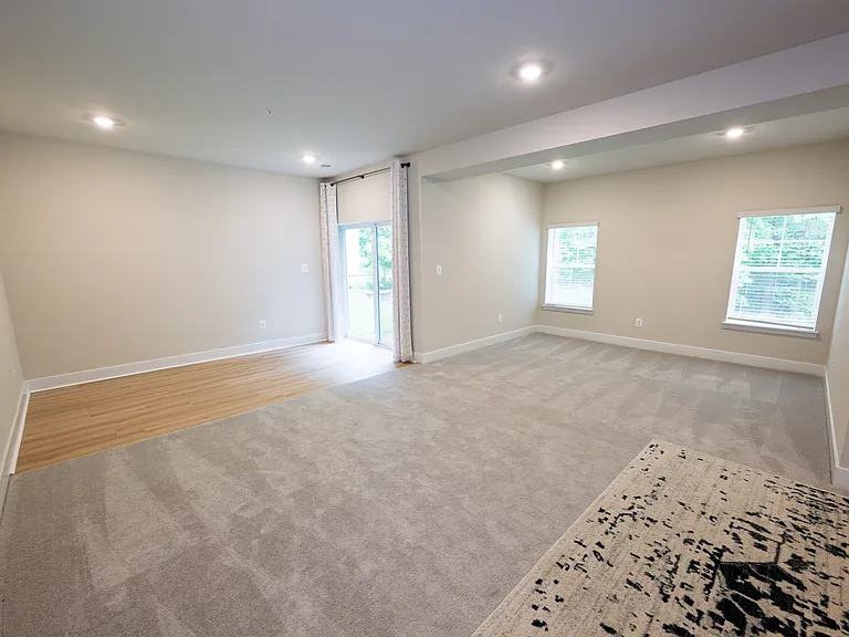 Walk Out Lower Level with LVP area by door