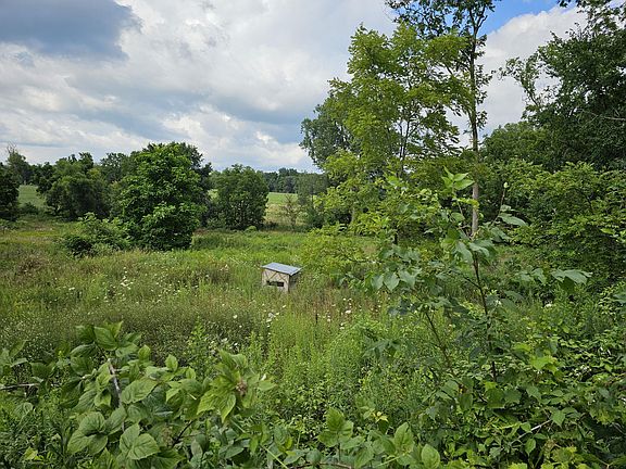 3rd image of 8475 Ross Rd