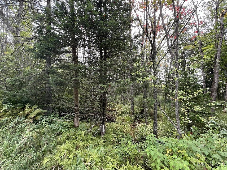 2nd image of W Brule Lake Rd