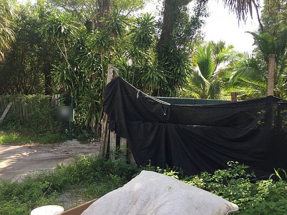 3rd image of 184 Tropical Ave