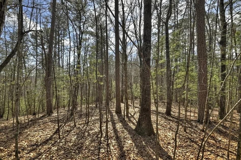 1st image of 1 Chestnut Gap Rd